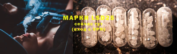 прущая мука Арсеньев