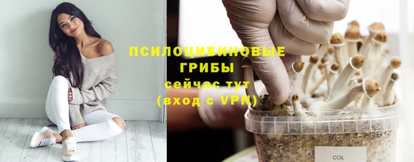 первитин Армянск