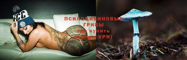 молекула духа Аркадак