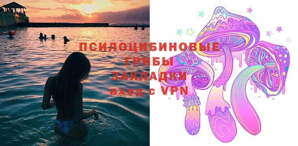 прущая мука Арсеньев