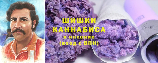молекула духа Аркадак