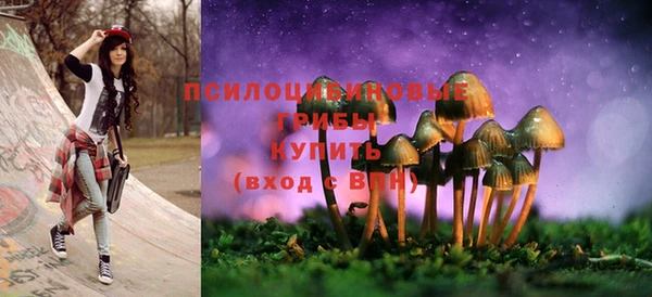 молекула духа Аркадак