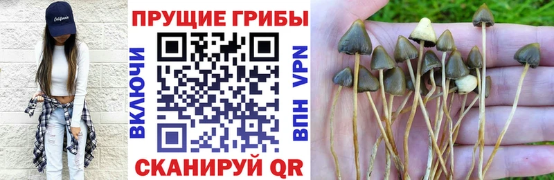 Галлюциногенные грибы прущие грибы  цена   Николаевск-на-Амуре 