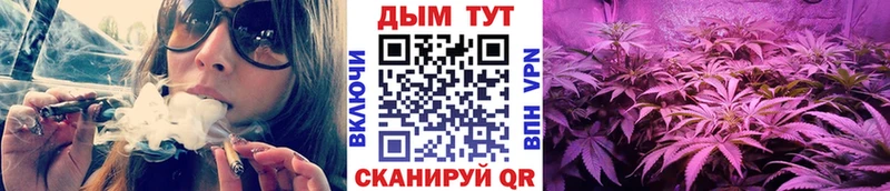 как найти   Николаевск-на-Амуре  Каннабис сатива 